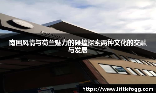 南国风情与荷兰魅力的碰撞探索两种文化的交融与发展